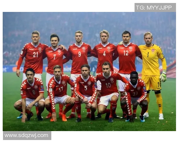 2016欧洲杯丹麦队的辉煌历程与精彩瞬间回顾